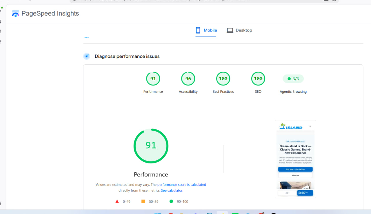Google PageSpeed Insights mobile result showing 91 performance, 96 accessibility, 100 best practices and 100 SEO.
